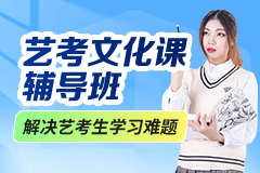 艺考文化课辅导班