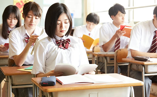 北京锐满分教育电话
